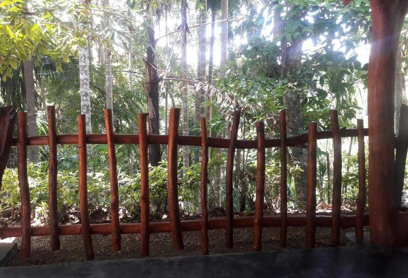 민박 Cool Breeze View