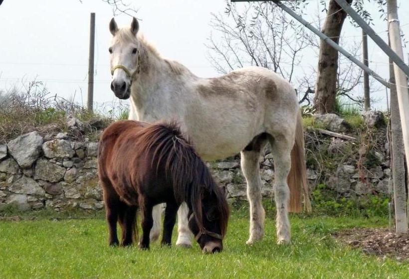 酒店 Agritur Maso Fontane