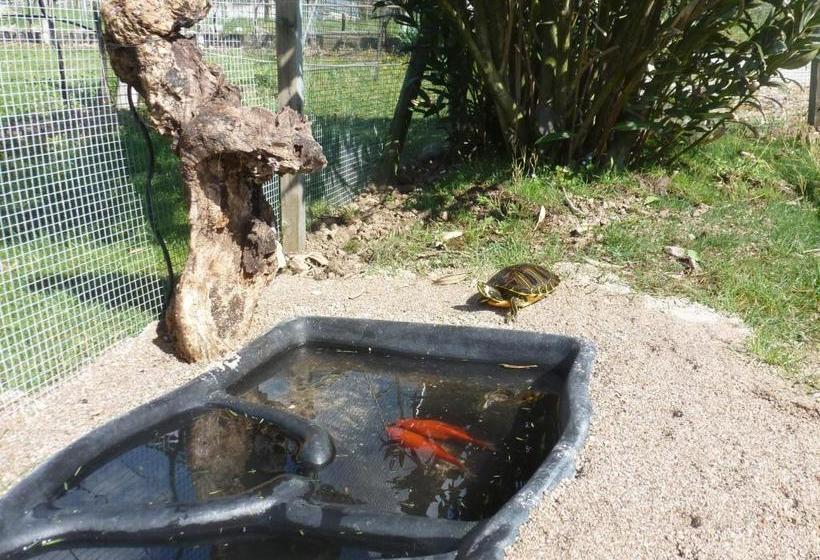 酒店 Agritur Maso Fontane