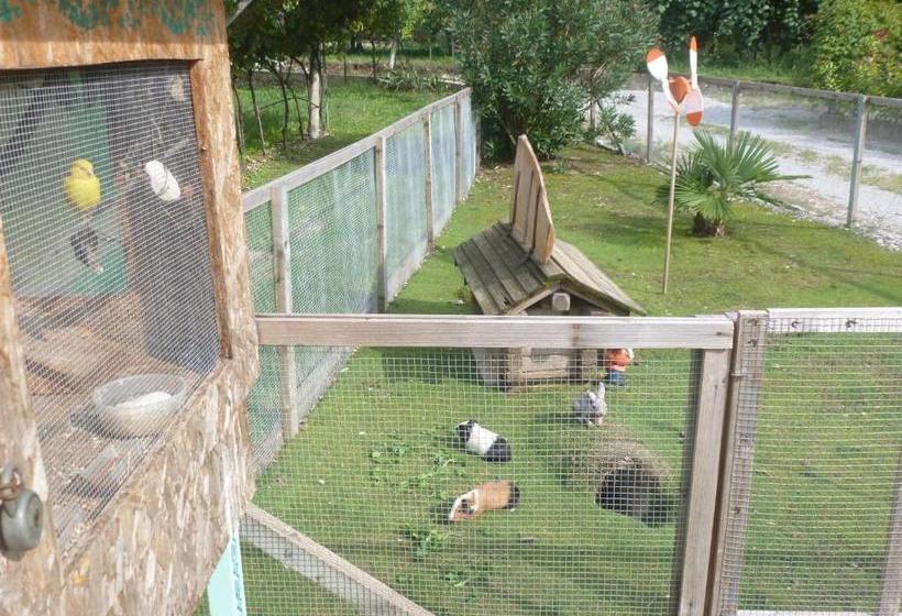 酒店 Agritur Maso Fontane