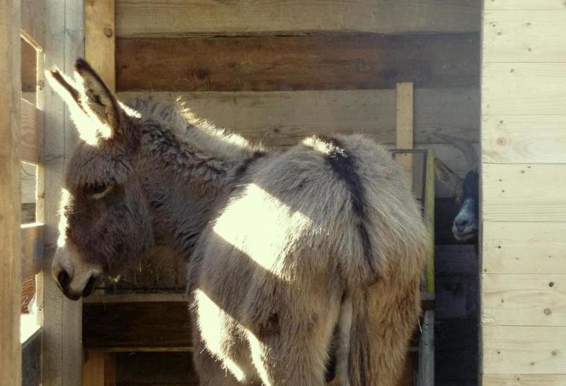 酒店 Agritur Maso Fontane