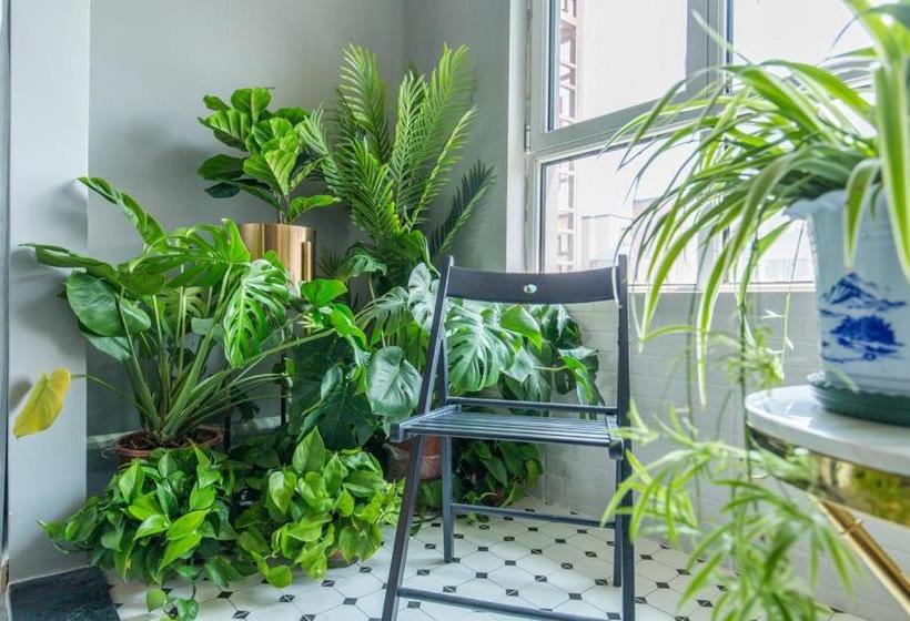 בית מלון כפרי Jinan Huaiyin·jinan West Railway Station·