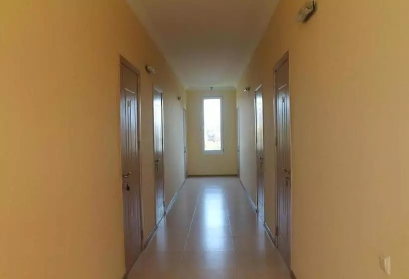 پانسیون Okro Life