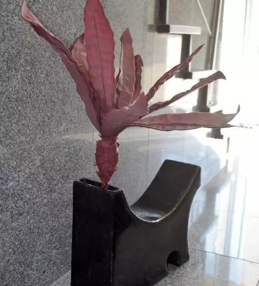 پانسیون Residencia Filipe