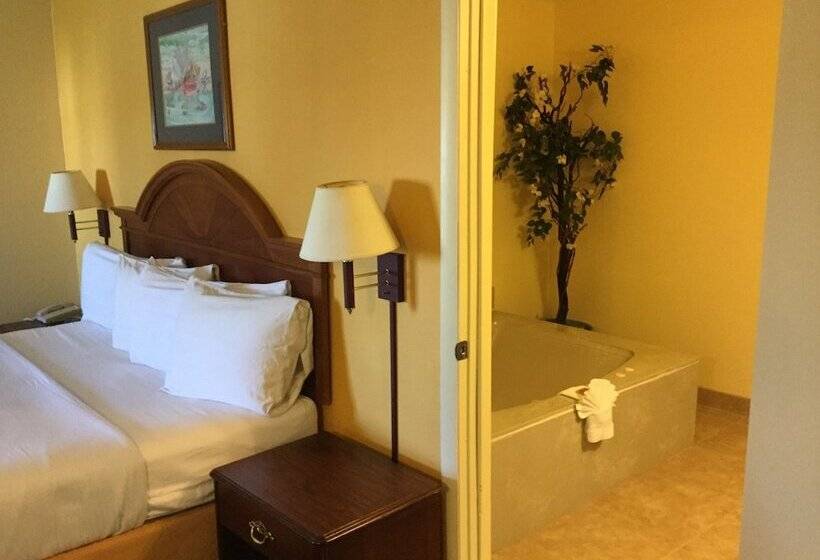 فندق St. Augustine Island Inn