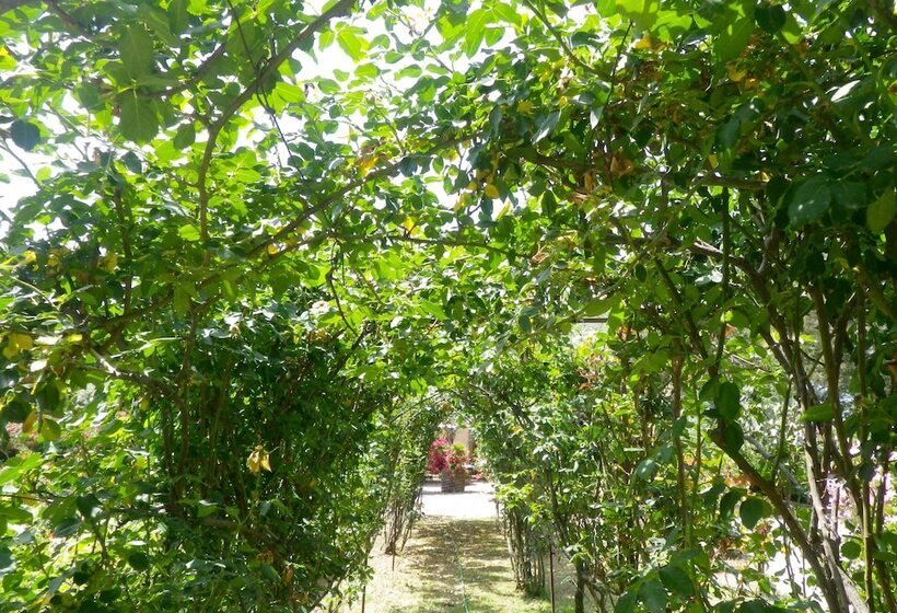 בית מלון כפרי Don Gaspano