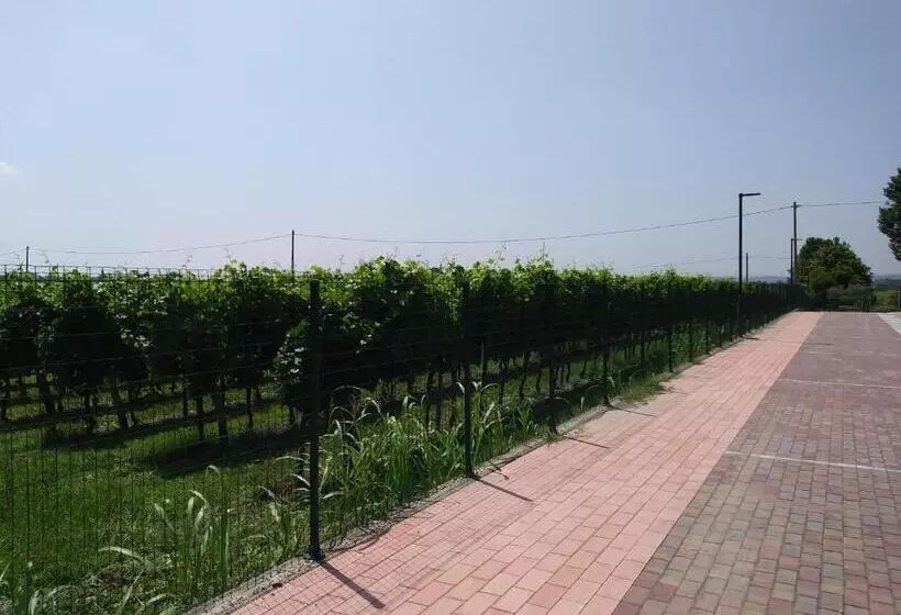 Hotelli Stella Del Garda