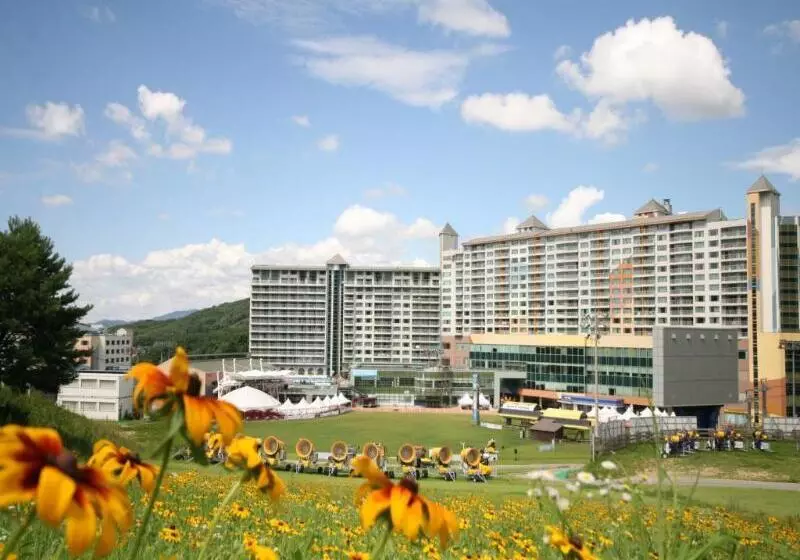 Hotelli Welli Hilli Park Resort