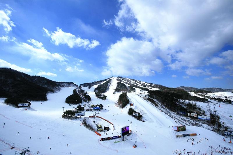 酒店 Welli Hilli Park Resort