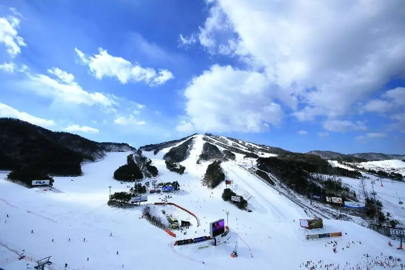 Hotelli Welli Hilli Park Resort