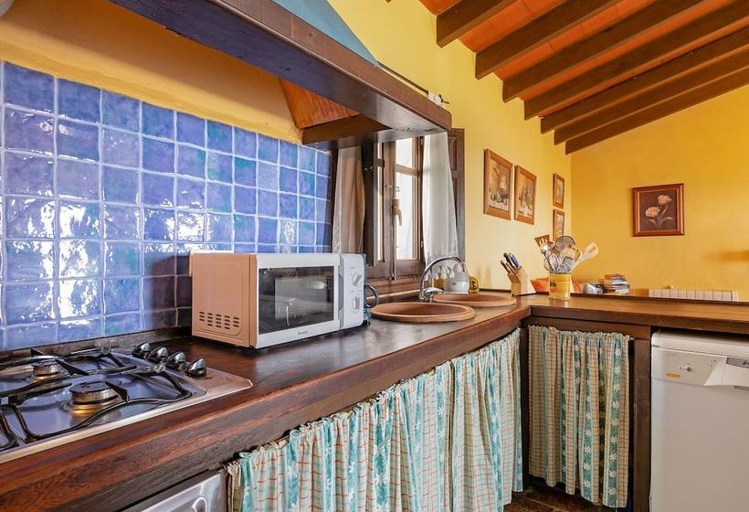 Beautiful Cottage In La Joya With Private Swimming Pool