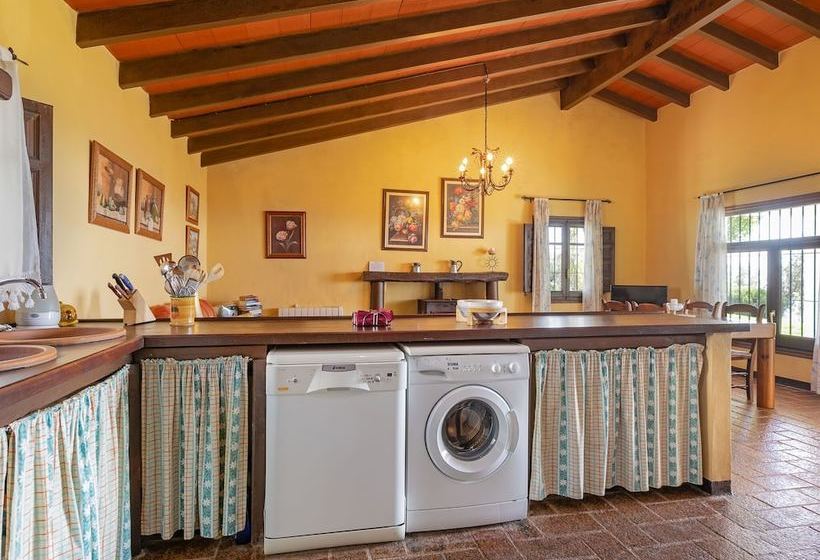 Beautiful Cottage In La Joya With Private Swimming Pool