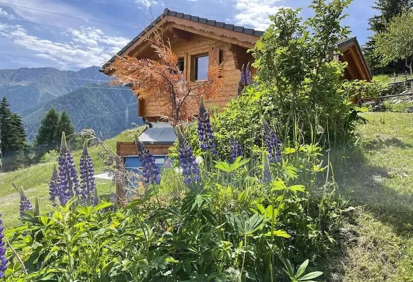 Chalet Belle Roche Recently Renovated Jacuzzi