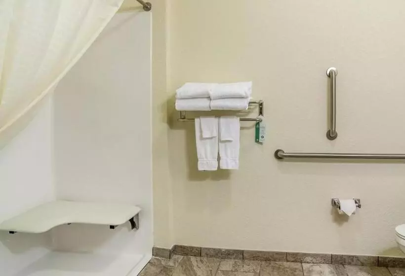 Cobblestone Hotel & Suites   Newport