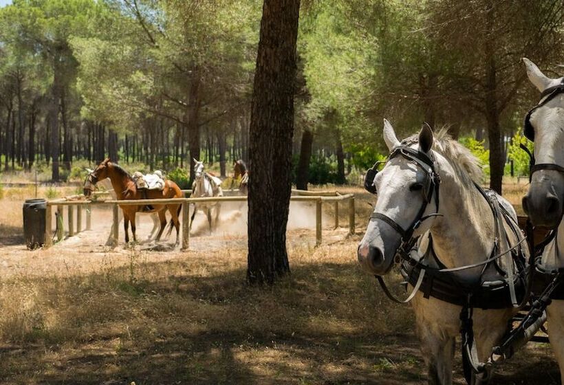 호텔 Glamping Sevilla