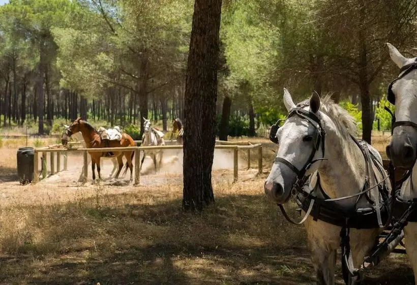 ホテル Glamping Sevilla