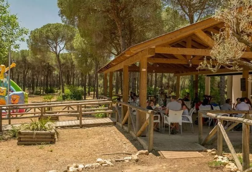ホテル Glamping Sevilla