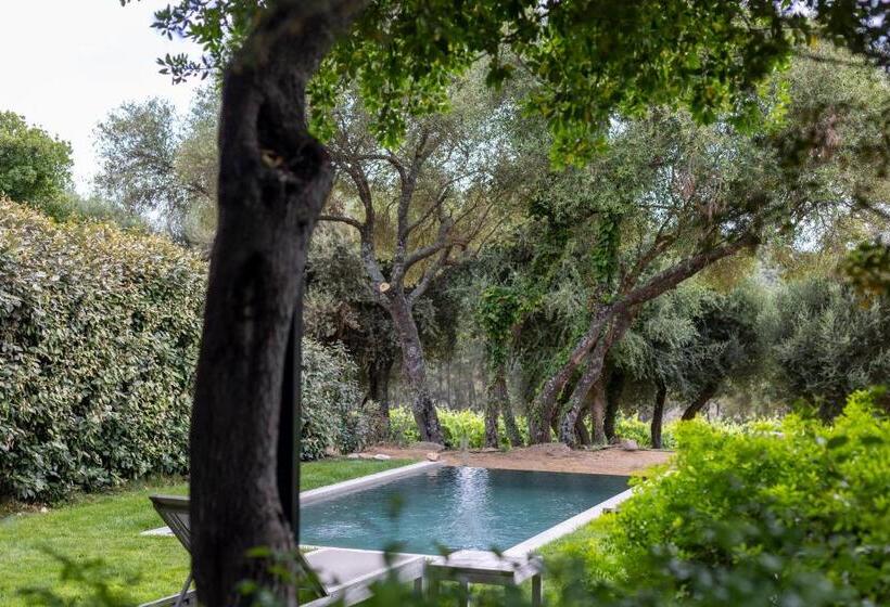 ペンション Domaine De Peretti Della Rocca