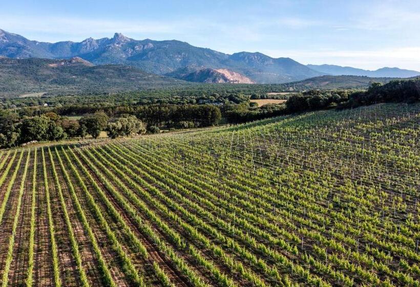 ペンション Domaine De Peretti Della Rocca