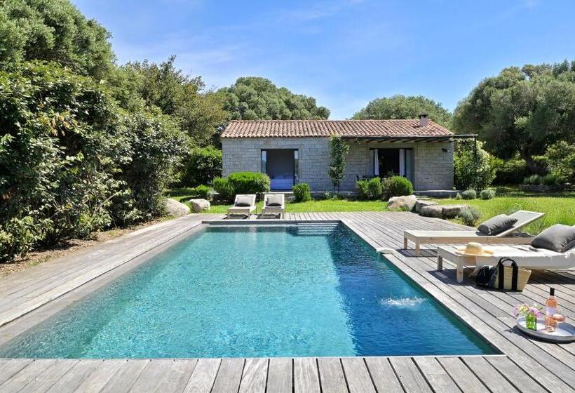 ペンション Domaine De Peretti Della Rocca