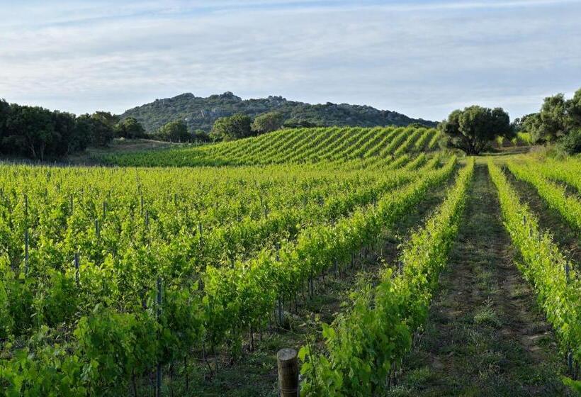 ペンション Domaine De Peretti Della Rocca