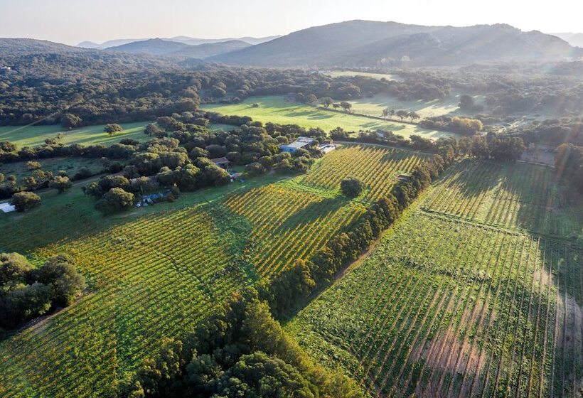 ペンション Domaine De Peretti Della Rocca