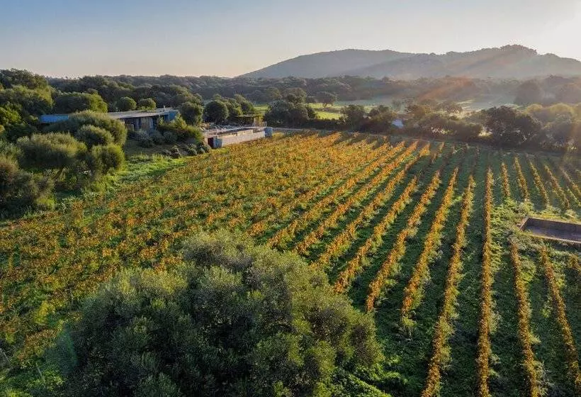 Majatalo Domaine De Peretti Della Rocca