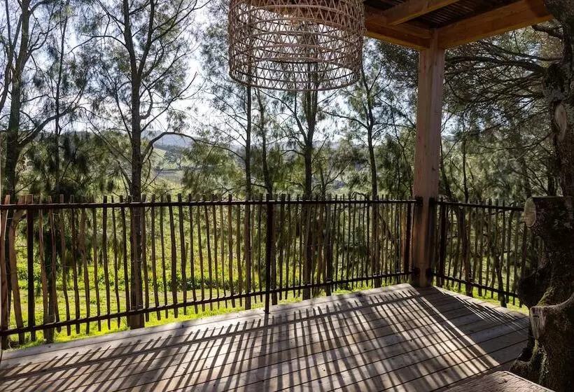 Majatalo Domaine De Peretti Della Rocca