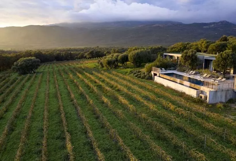 Majatalo Domaine De Peretti Della Rocca