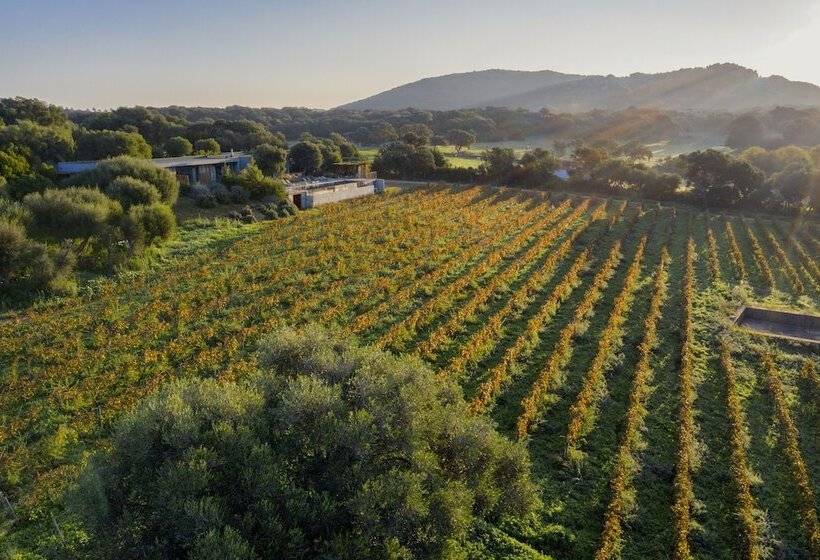 ペンション Domaine De Peretti Della Rocca