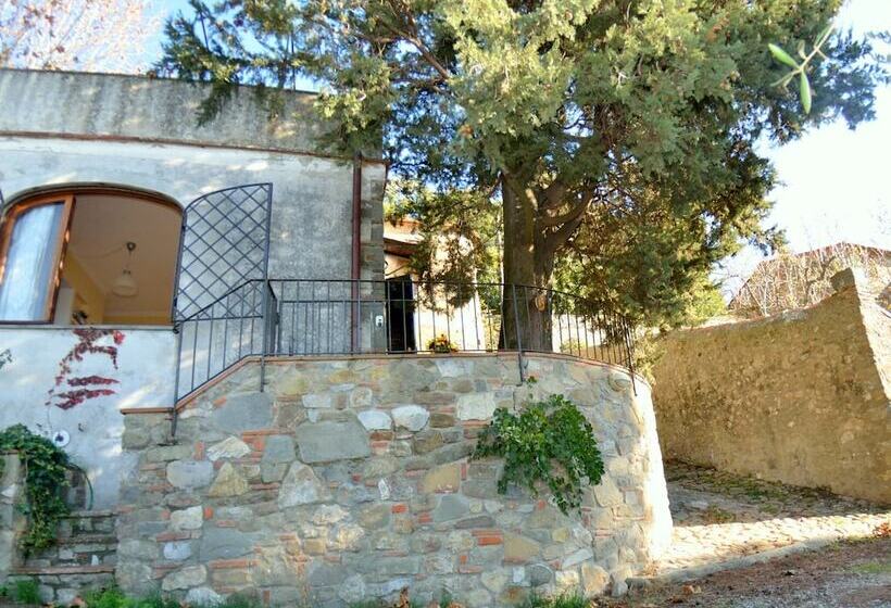 Picturesque Hillside Cottage In Lucca