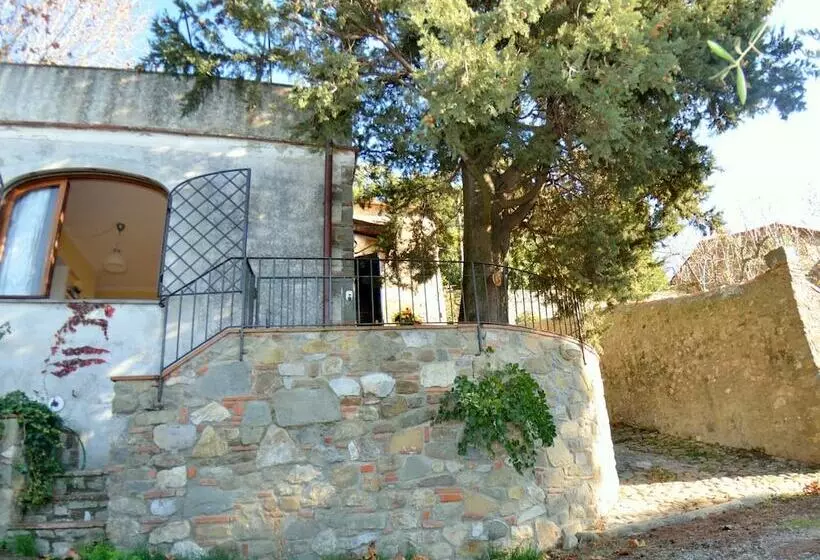 Picturesque Hillside Cottage In Lucca