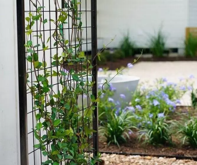 Aamiaismajoitus (B&B) Farmstead Round Top