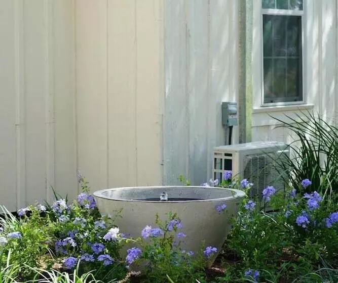 Aamiaismajoitus (B&B) Farmstead Round Top