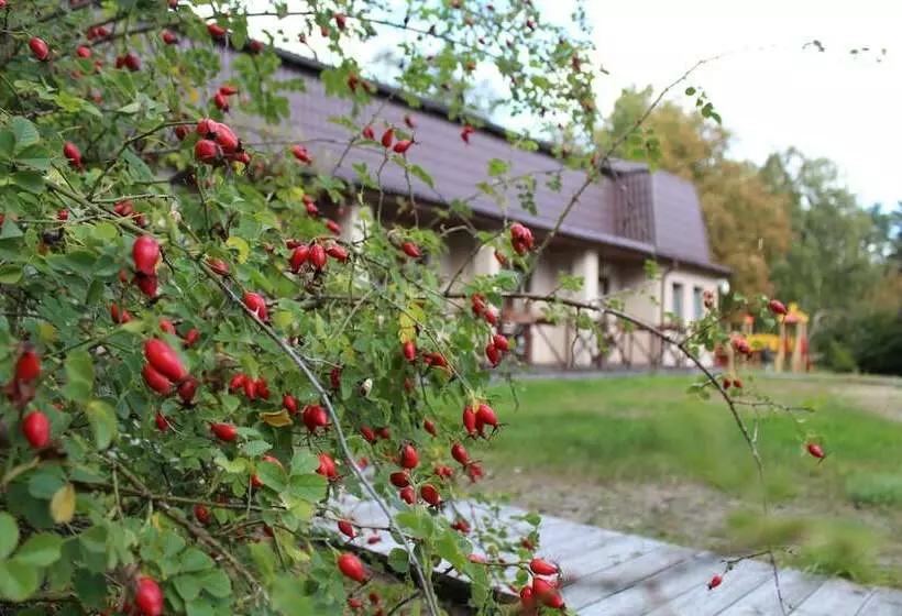 ホテル Dom Rybolova