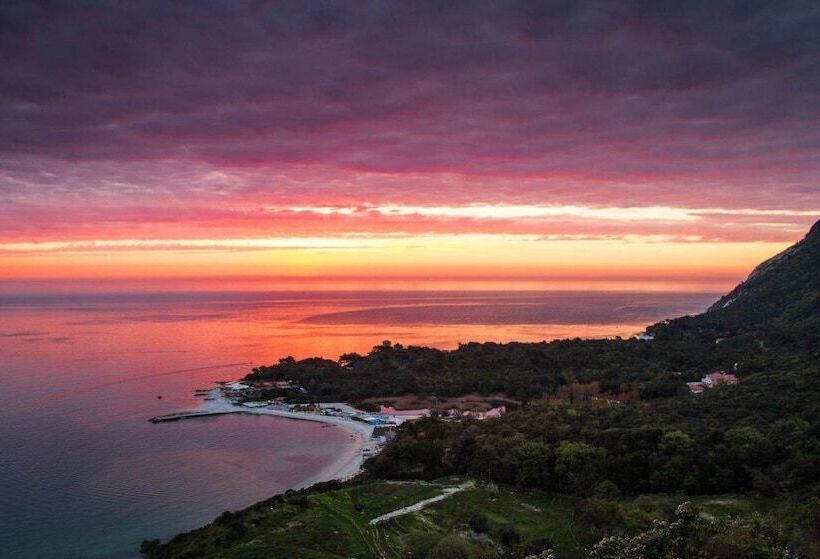 پانسیون Affittacamere Torresi