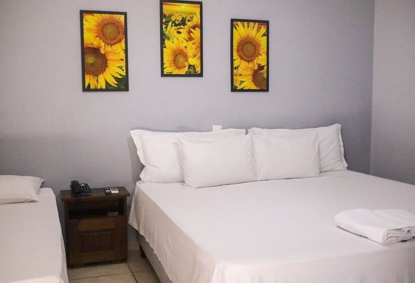 בית מלון כפרי Shellter