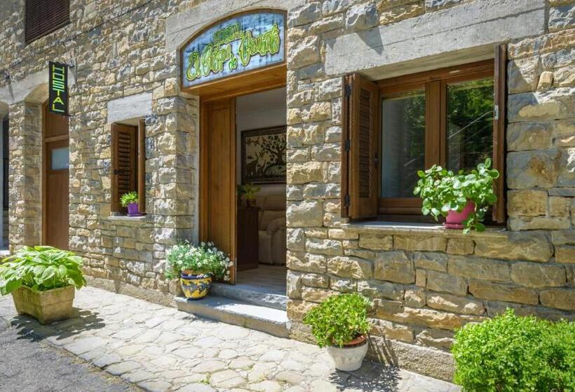 پانسیون Hostal Bosque De Gamueta