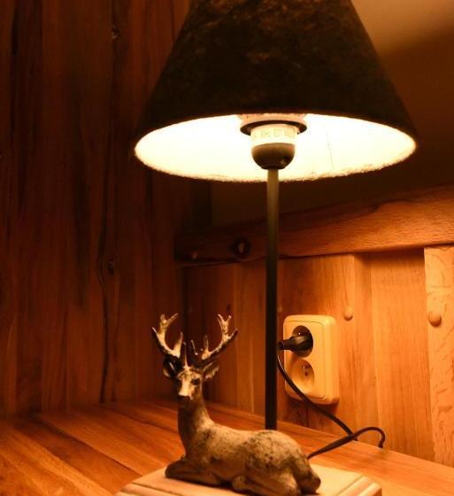 Pension Penzion U Medvěda