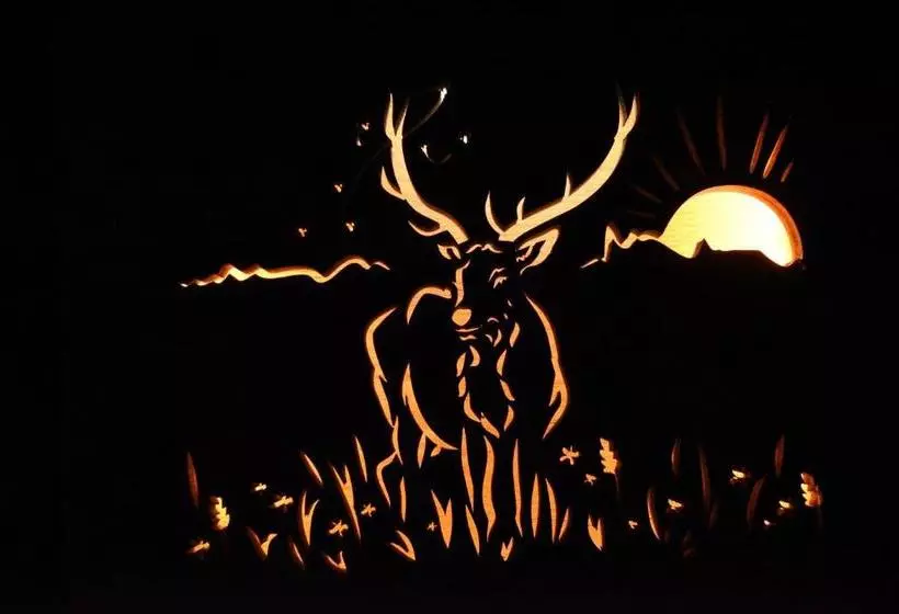 Majatalo Penzion U Medvěda