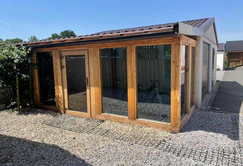 Pension Penzion U Medvěda