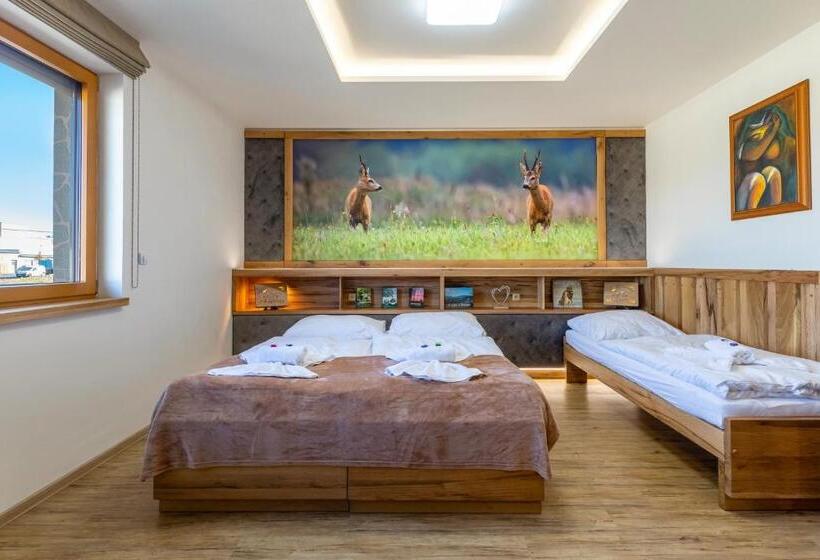 Pension Penzion U Medvěda