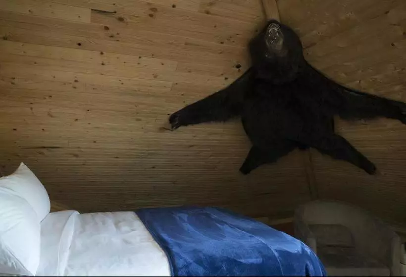 Hotelli Three Peaks Banff