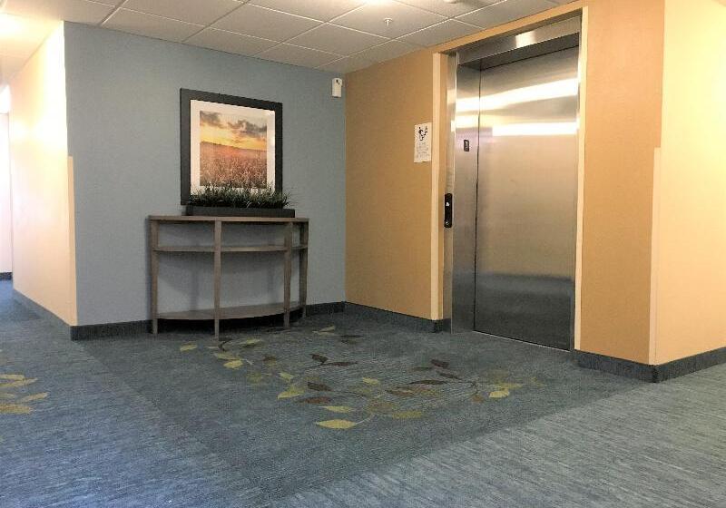 酒店 Candlewood Suites Durham   Rtp, An Ihg