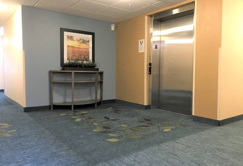 酒店 Candlewood Suites Durham   Rtp, An Ihg