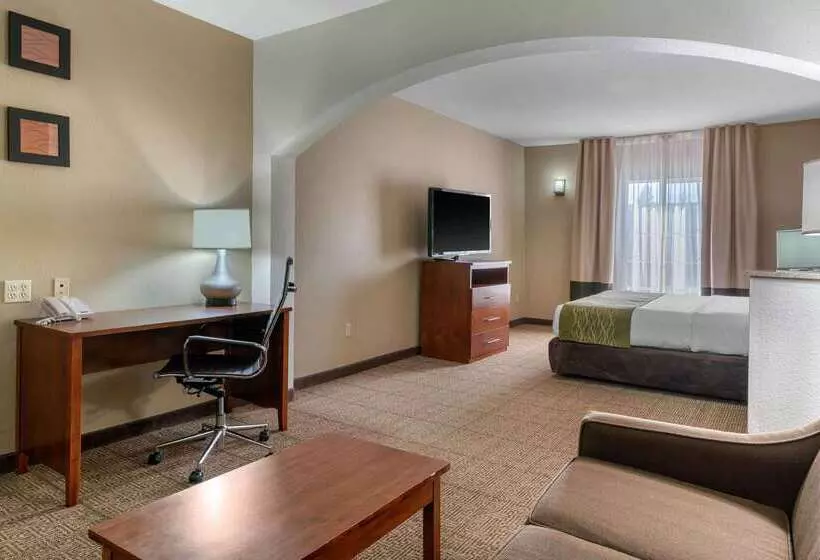 Hotel Comfort Inn & Suites Sacramento   University Area
