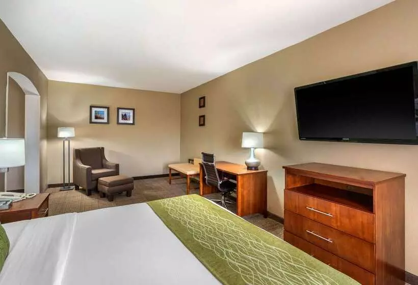 Hotel Comfort Inn & Suites Sacramento   University Area