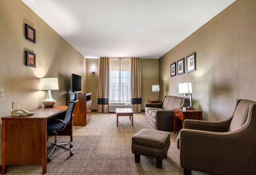 Hotel Comfort Inn & Suites Sacramento   University Area