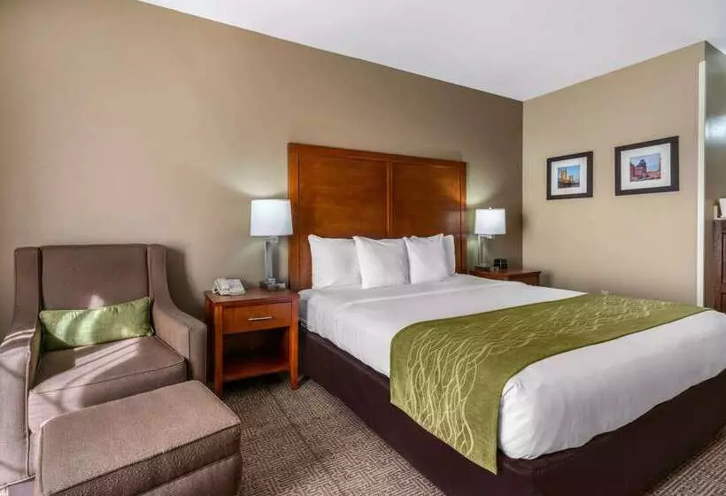 Hotel Comfort Inn & Suites Sacramento   University Area