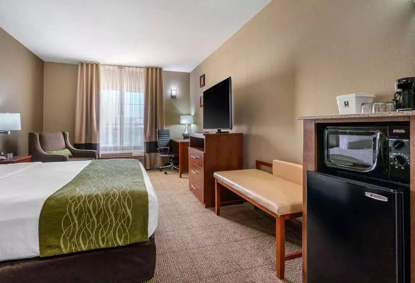 Hotel Comfort Inn & Suites Sacramento   University Area